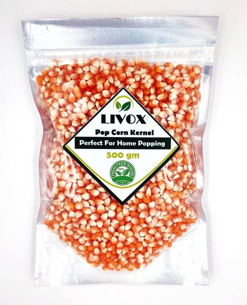 LIVOX POP CORN KERNEL ( Perfect For Home Popping ) 500 gm Popcorn
