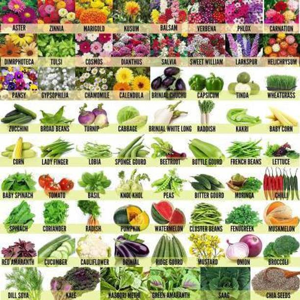 shoppersstop Vegetable seeds, Flower Seed