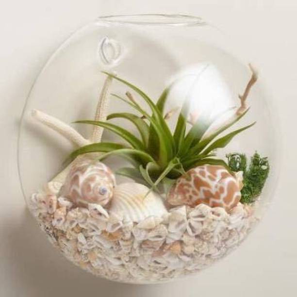 goblet Wall Fish Bowl Round Ends Aquarium Tank
