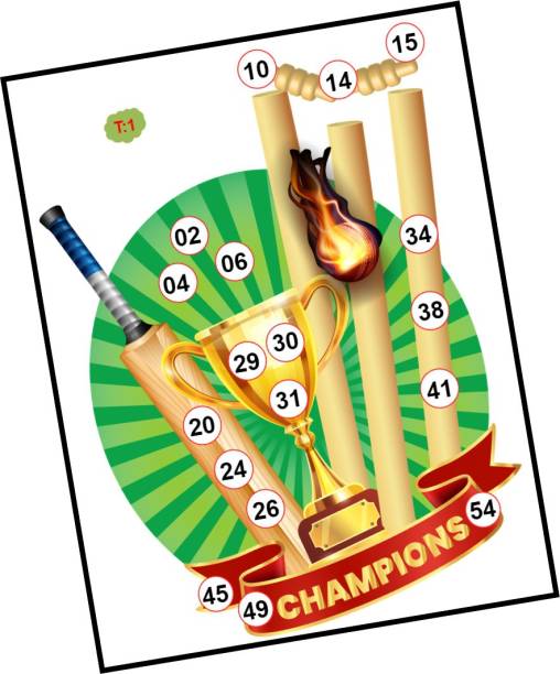Tambola Tickets Cricket Champions Theme Bingo Housie tickets for Tambola Game (Set of 24 Cards, Printed on Hard Sheet, Premium Quality, Big Size) Board Game Accessories Board Game
