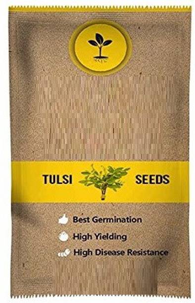 WILLVINE Tulsi Vana Rama Krishna Tulsi Seeds"Holy Basil" Seed