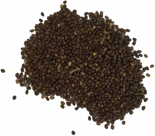 VibeX Krishna Tulsi Seed