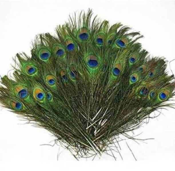A1 COLLECTION Pack of 50 Decorative Feathers