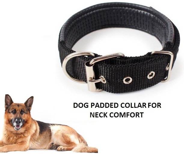 Hachiko Dog Everyday Collar