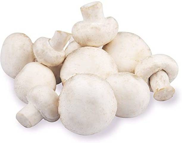 Paudha Mushroom Seed
