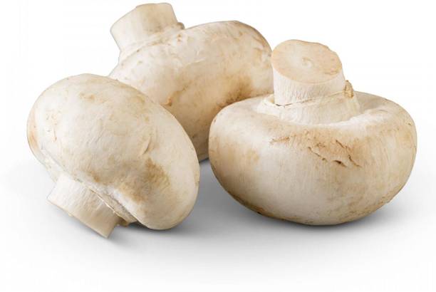 Paudha Mushroom Seed