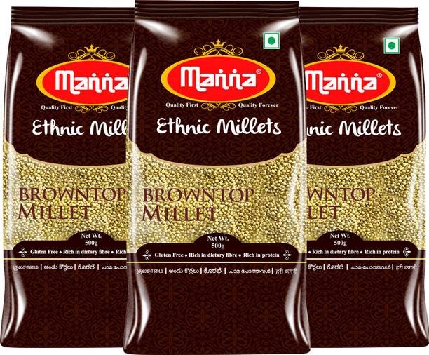 Manna Browntop Millet Natural Grains, 1.5kg (500g x 3 Packs) - (Chotti Kangni / Andu Korralu / Korale) | Native Low GI Millet Rice | High Protein & 100% more Fibre than Rice Browntop Millet