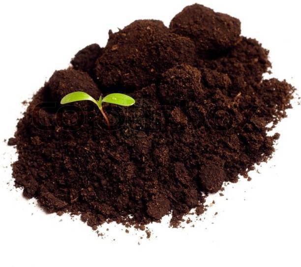 TSNT 100% Pure natural ORGANIC VERMICOMPOST Manure