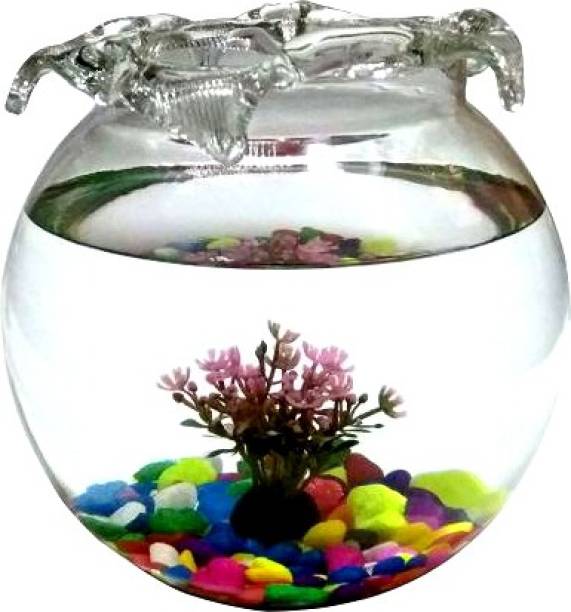 BILAL ANSARI Aqua_12 presenting cute & glossy looking glass fish aquarium (pack of 1,10 inch) Round Ends Aquarium Tank