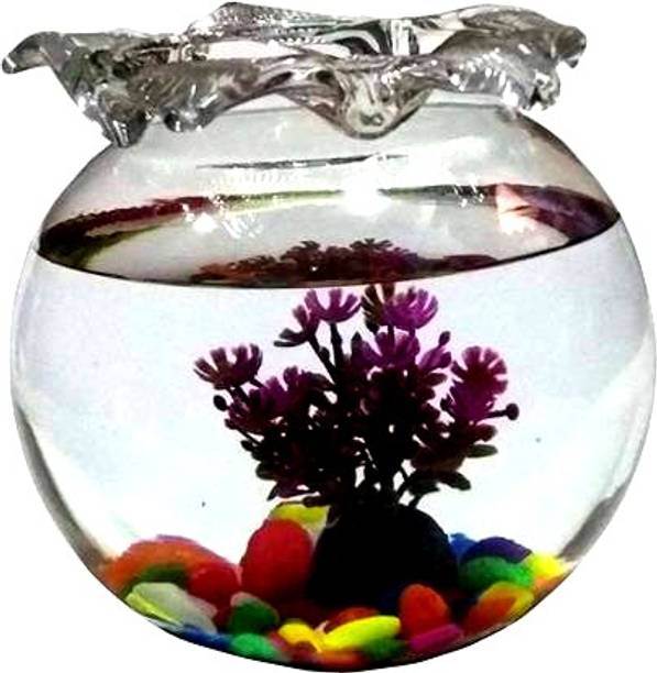 BILAL ANSARI Aqua_14 presenting cute & glossy looking glass fish aquarium (pack of 1,8 inch) Round Ends Aquarium Tank