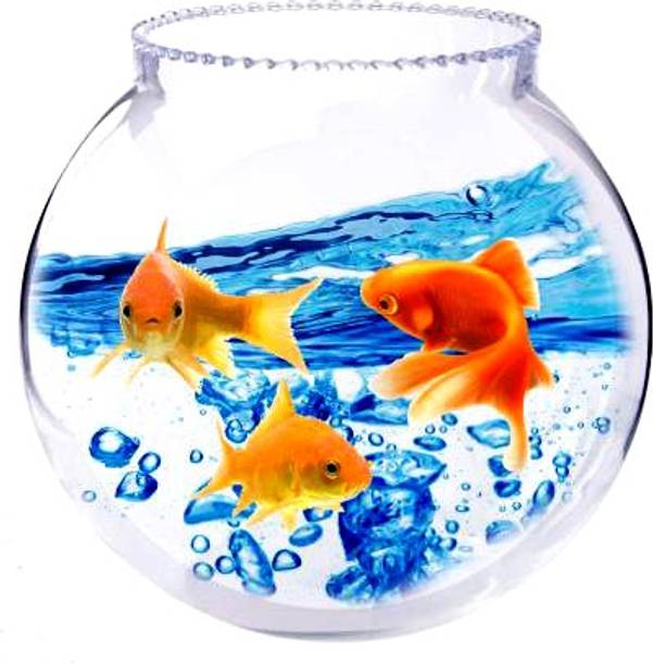 BILAL ANSARI Aqua_19 presenting cute & glossy looking glass fish aquarium (pack of 1,8 inch) Round Ends Aquarium Tank