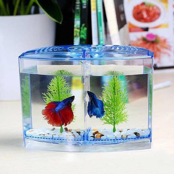 AKSHAT ENTERPRISES Mini Betta Fish Double House Tank Rectangle Aquarium Tank
