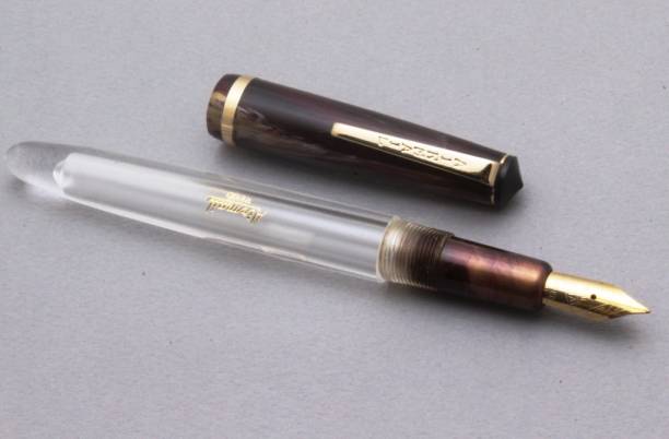 Ledos Airmail Pura Acrylic Demonstrator Eyedropper Marble Design Fountain Pens With Fine Nib - Purple Fountain Pen