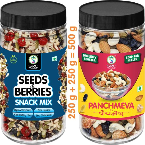 SRC Creations Seeds Berries (250g) and Panchmeva (250g) Combo
