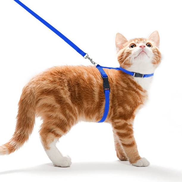 SHAFIRE Cat Harness Leash Nylon Set for Cat Rabbit Kitten and Small Pet Nylon Harness Strap Collar /Cat Training Leash Lead (Blue) Cat Collar & Chain