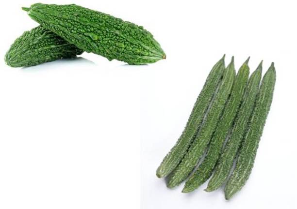 Sjeme Long & Short Bitter Gourd Seed Combo Seed