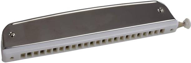 REVEL RVL-HA24SCS Harmonica For Beginner, Hobbyist, Professional Silver