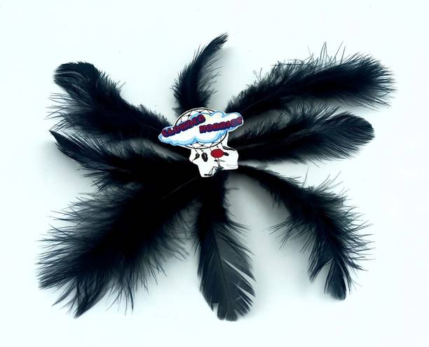 CLOUDED HOBBIES Pack of 100 Decorative Feathers