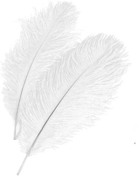 Tiptop Decoration Natural Ostrich Feather (White , 9-10 Inch) -5 Piece (23-25 Cm)