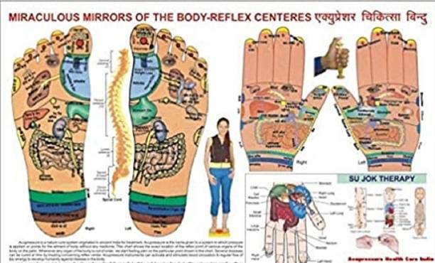 Acupressure + Sujok Chart Paper Print