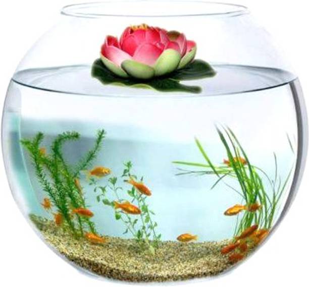 BILAL ANSARI Aqua_08 presenting cute & glossy looking glass fish aquarium (pack of 1, 8 inch) Round Ends Aquarium Tank