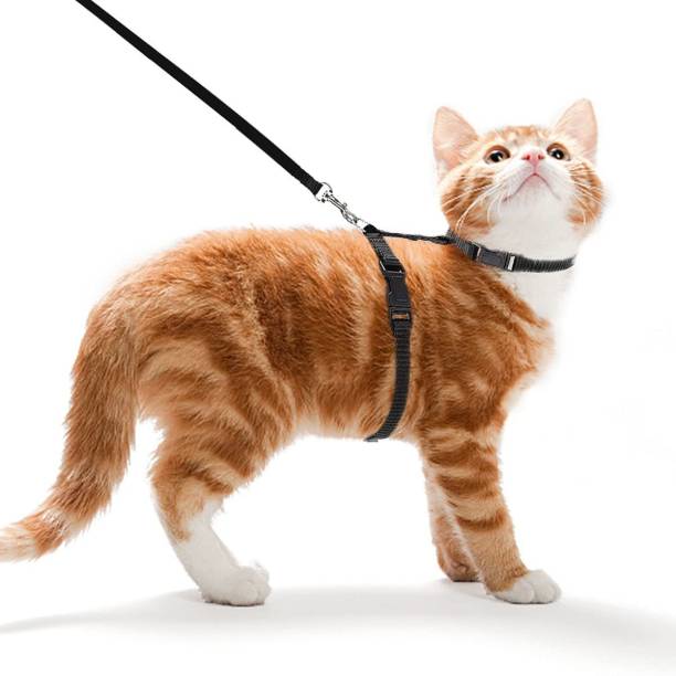 SHAFIRE Cat Harness Leash Nylon Set for Cat Rabbit Kitten and Small Pet Nylon Harness Strap Collar /Cat Training Leash Lead (Black) Cat Harness & Leash