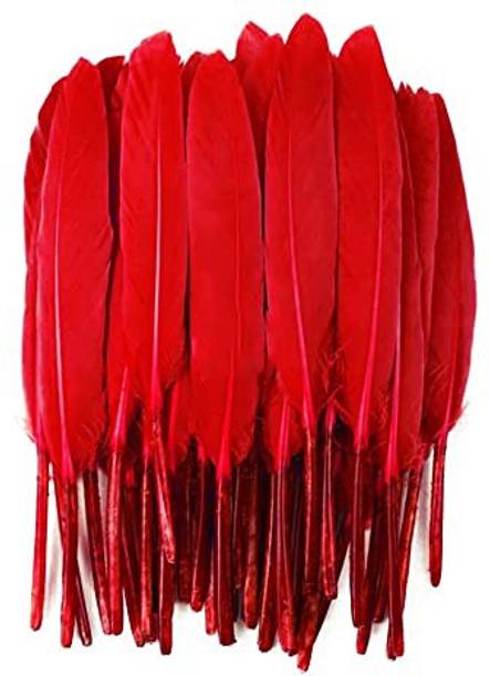 Tiptop Decoration Natural Dyed Premium Goose Feathers Quills (10 Pieces) (10-15 cm)