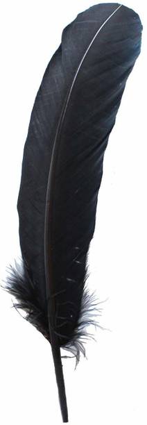 Tiptop Decoration Pack of 5 Decorative Feathers
