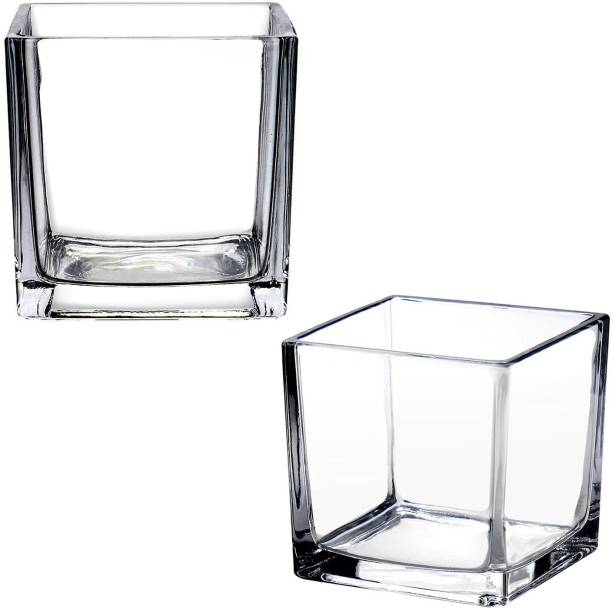 BILAL ANSARI square glass cube tank 4" Cube Aquarium Tank