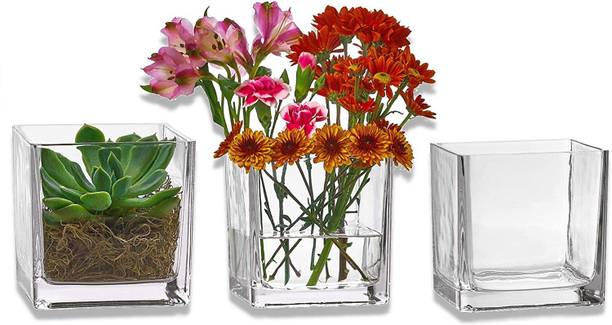 BILAL ANSARI Square Glass Cube Tank 4" 13 Cube Aquarium Tank