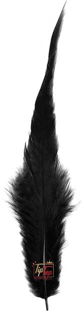 Tiptop Decoration Pack of 50 Decorative Feathers