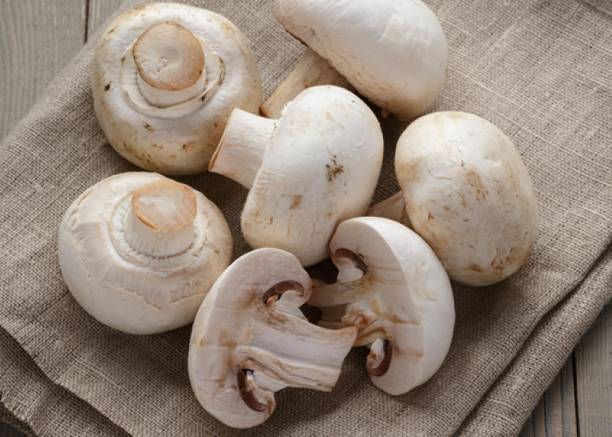 Paudha Mushroom Hybrid Seed