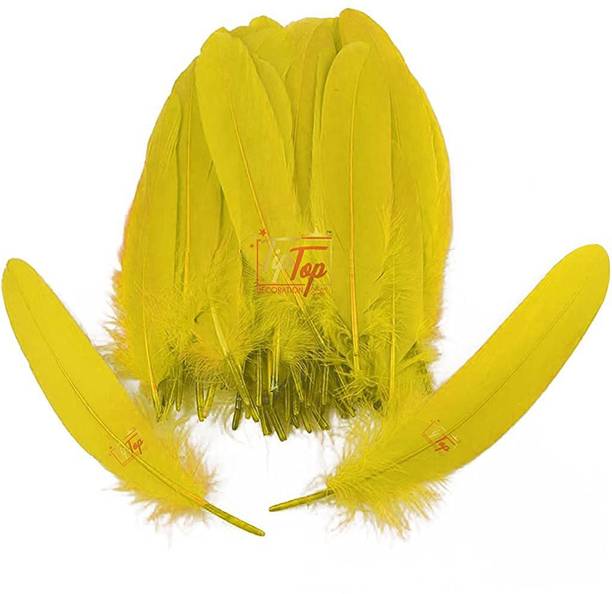 Tiptop Decoration Natural Dyed Goose Feathers Quills (10 Pieces) (15-20 cm) Lemon Yellow