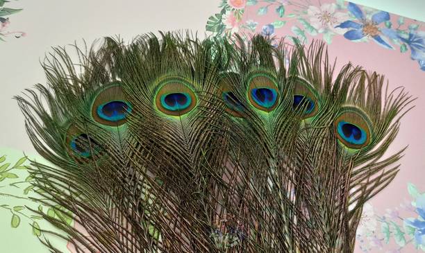 CRAFTWAFT Pack of 5 Decorative Feathers