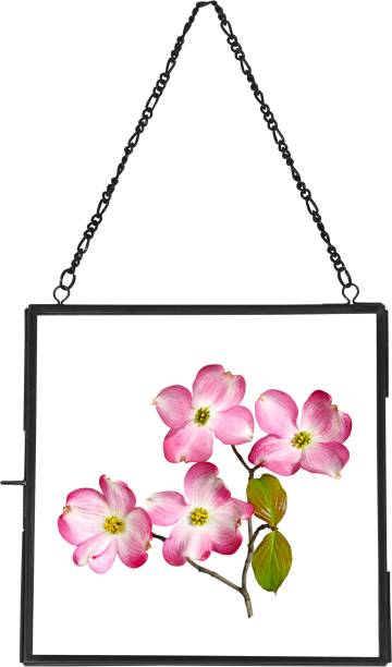 Spaziomaker collection wall hanging glass and metal photo frame for poster pressed flowers floating frame for gifting 7 X 7 inch Frame