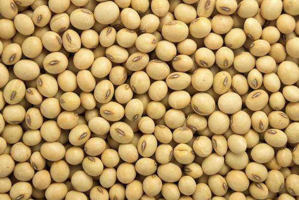 SIDDHI Organic Yellow Soya Bean (Whole)