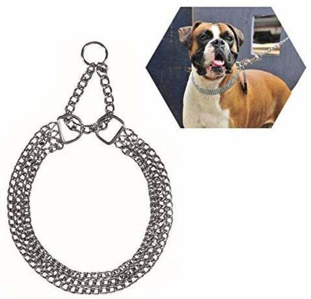 Pups&Pets Dog Everyday Collar