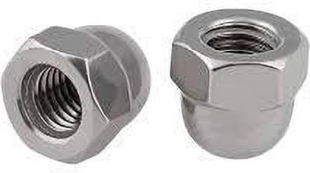 VP INDUSTRIES Nut 1/4" Inch Thread Dome Head Cap Nut (Pcs-25) | Round Top Nut Hex Head, Acorn Nut or Crown head for Exhibition Vehicle Tyre, DIY projects, Vehicle, Furniture or Home Improvement,Cabinets Cabinets, Wardrobes All Kinds of Drawers Office Furniture,Wood Boards, Kitchen Worktops, Cabinets, Cupboards,Chairs &amp; Beds