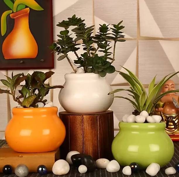OriginalCeramics Small Matki Pot Set Of 3 Plant Container Set