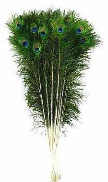 Spiritualnet Pack of 10 Decorative Feathers