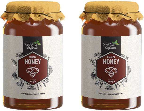First Bud Organics Organic Honey |Pahadi Honey NMR Tested | Pure Natural Honey in Fresh Packaging |Wild Honey 500 GM Pack of 2