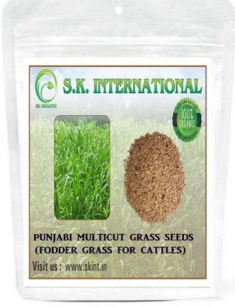 SK ORGANIC Punjabi Multicut Grass Seeds, SEEDS Seed