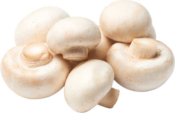 rmd Mushroom Herb Seed