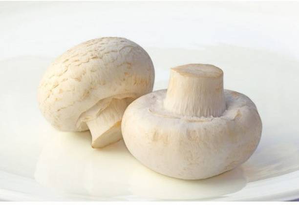 Paudha Mushroom Herb Seed