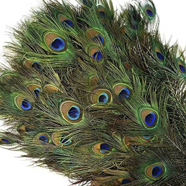 Firmus Pack of 50 Decorative Feathers