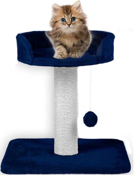 Flipkart Perfect Homes Studio Cat-CC2-Blue Free Standing Cat Tree