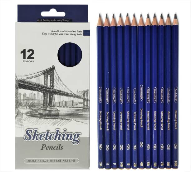 Definite Art Professional Drawing Sketching Pencil Set- Artist Grade Degree Pencils- 10B, 8B, 7B, 6B, 5B, 4B, 2B, B, HB, F, H & 2H Graphite Pencils for Beginners & Professional Artists Pencil