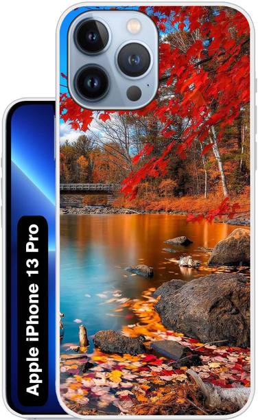 Flipkart SmartBuy Back Cover for APPLE iPhone 13 Pro