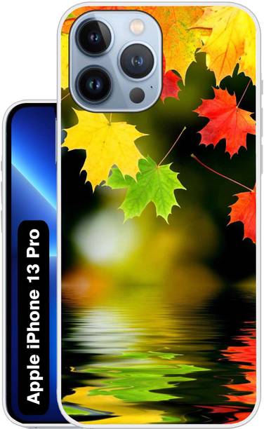 Flipkart SmartBuy Back Cover for APPLE iPhone 13 Pro