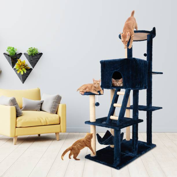 Flipkart Perfect Homes Studio Cat-901-Blue Free Standing Cat Tree